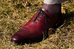 Burgundy & White Two-Tone Solid Socks