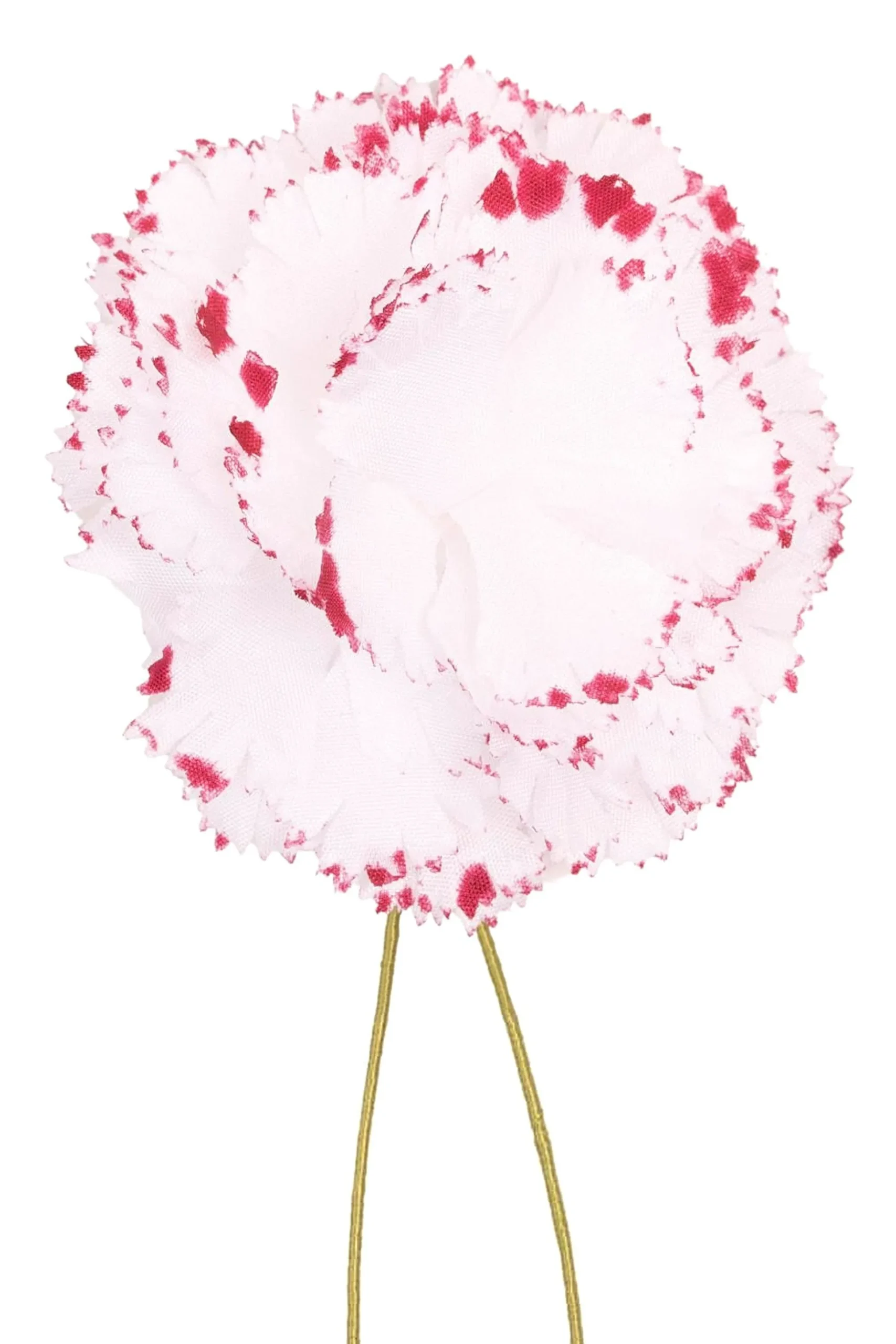 Life-Sized Magenta-Edged White Carnation Boutonnière