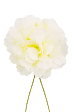 Life-Size White Carnation Boutonnière Flower
