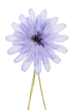Light Blue Chicory Boutonnière Flower
