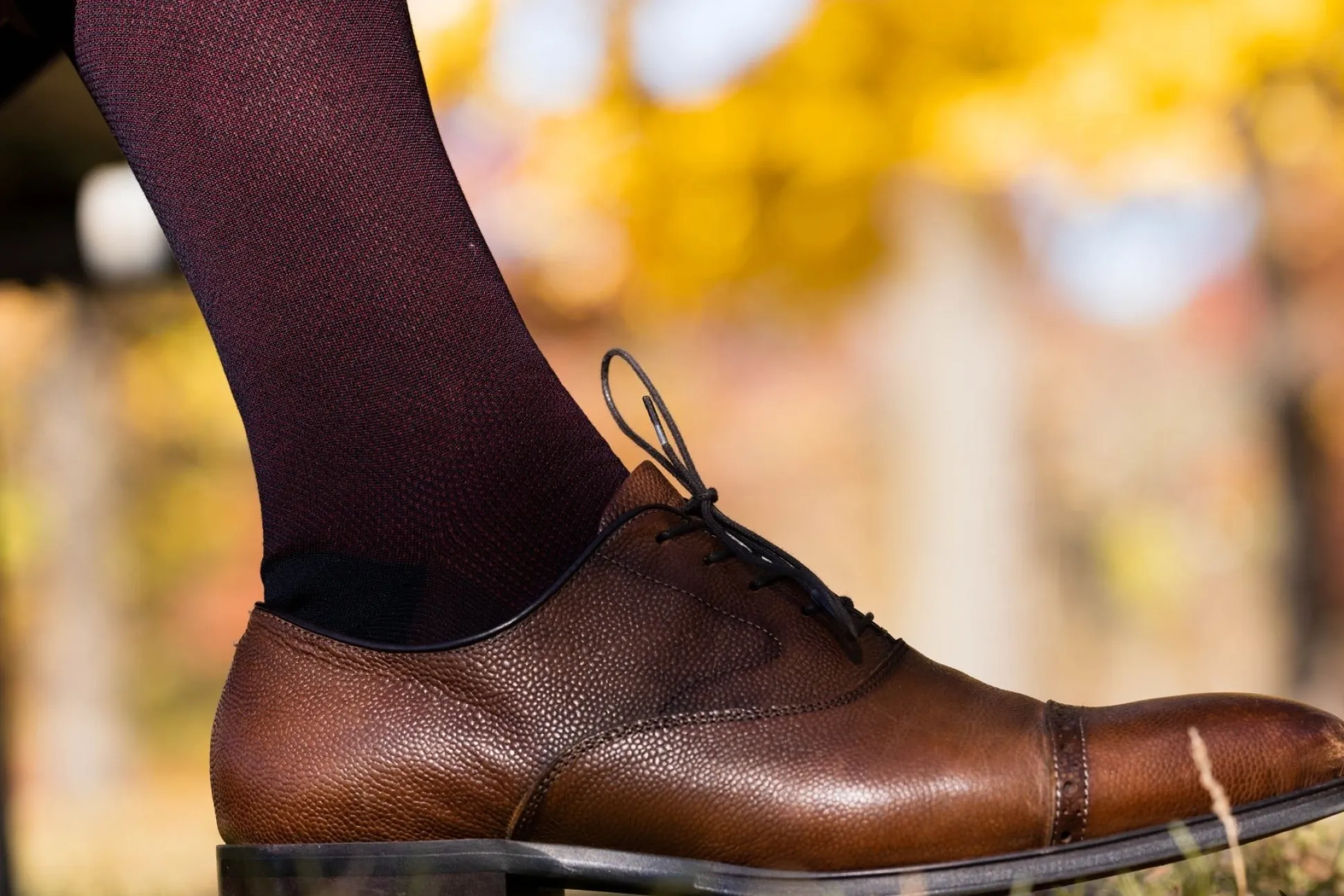 Midnight Blue & Burgundy Two-Tone Cotton Socks