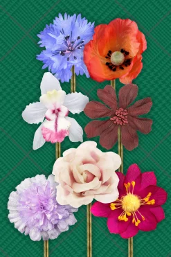 Raphael's Private Garden: 30 Boutonnieres