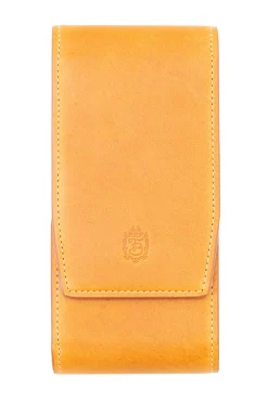 Vintage Gold & Sage Green Suede Leather Watch Case